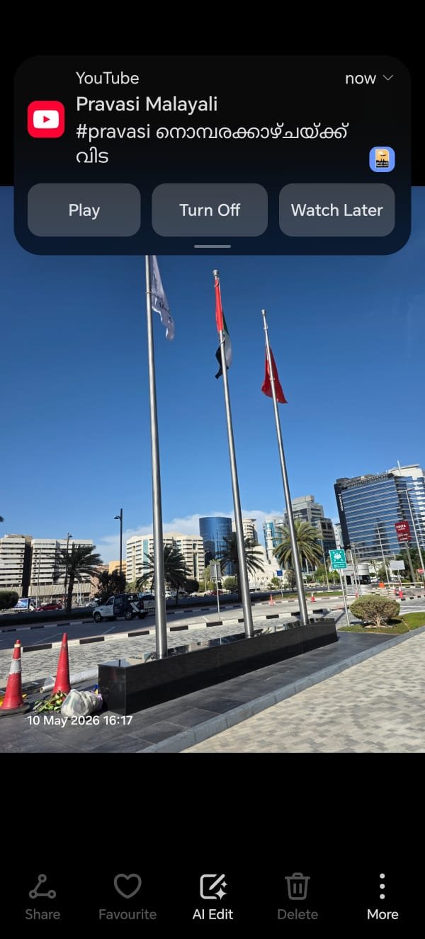 Automated Flag Systems