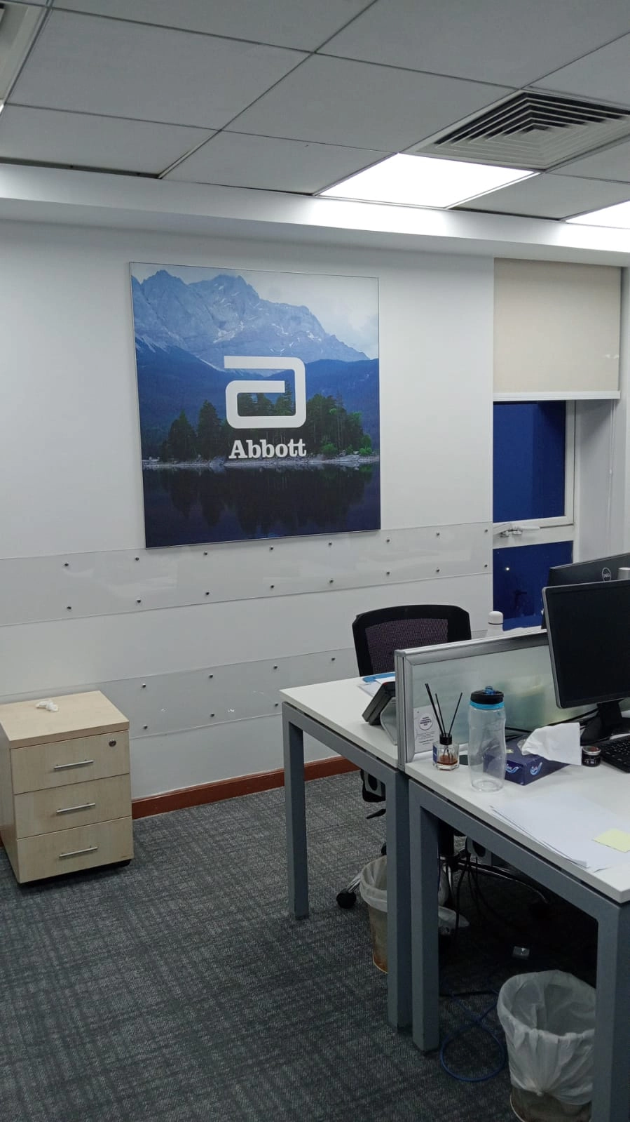Abbott MENA