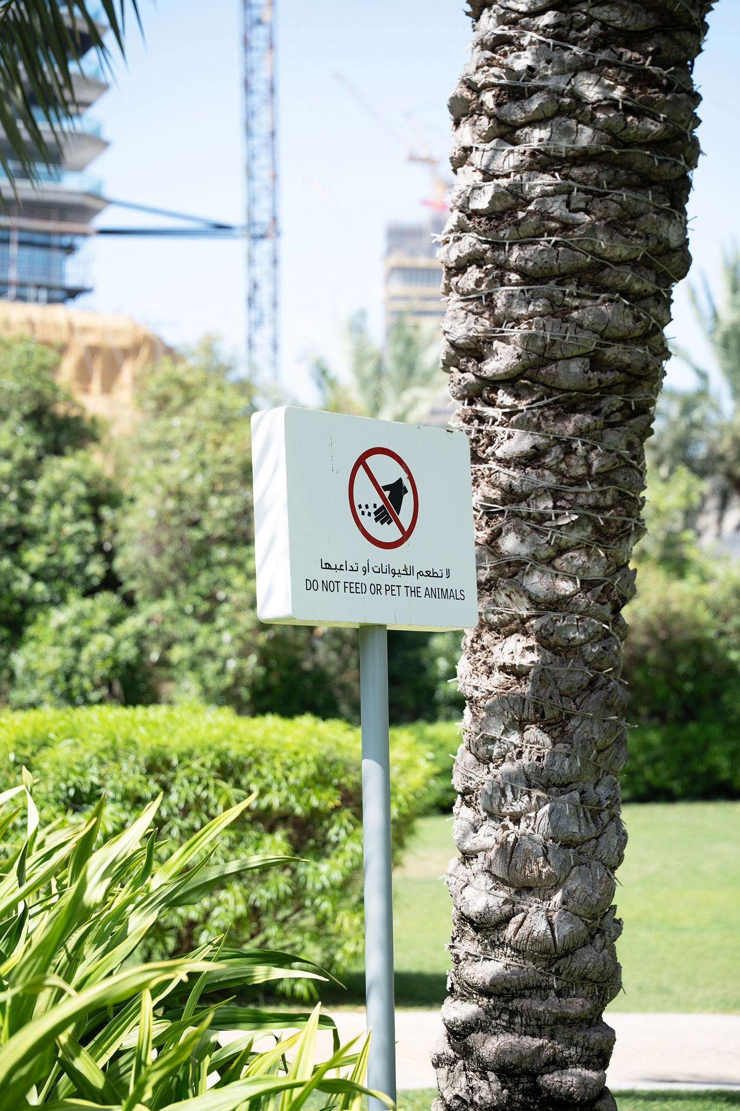 Le Royal Meridien Hotel